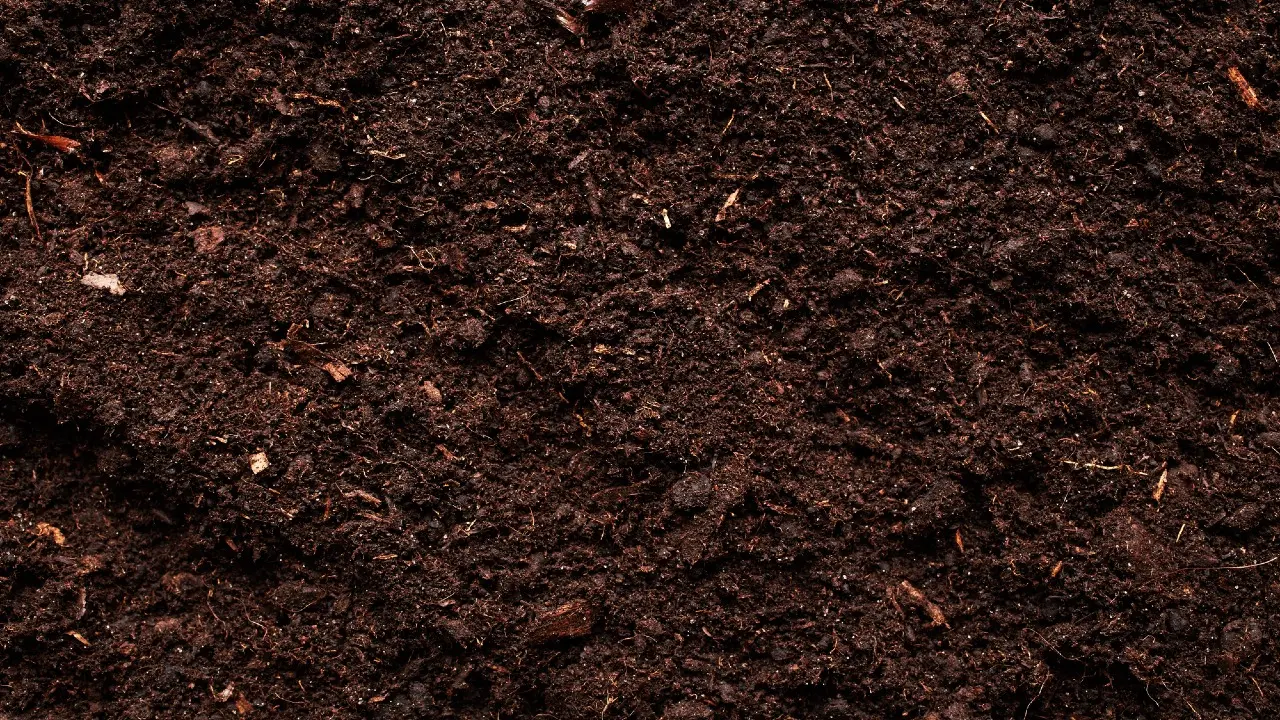 Двое рабочих погибли при обрушении траншеи в Караганде: полиция возбудила уголовное дело